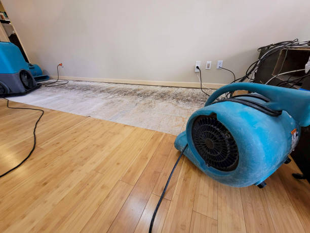 Professional Ceiling Water Damage Repair technician working in Kilbourne, OH